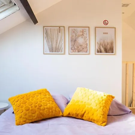 Appartcosy-stquentin *